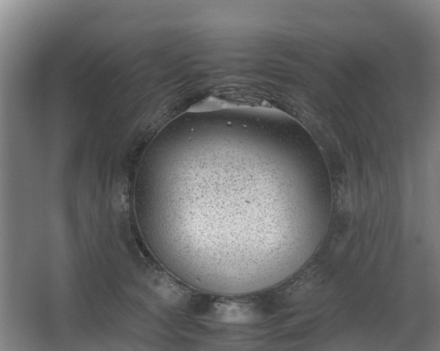 X0000062600561200512281401