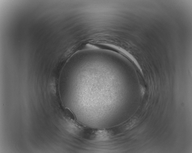 X0000062600562200512281401