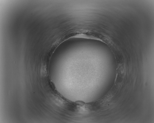 X0000062600564200512281401