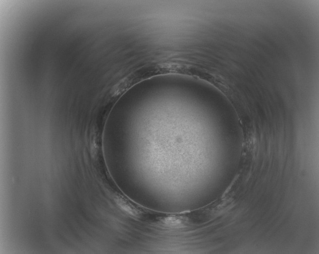 X0000062600566200512281401