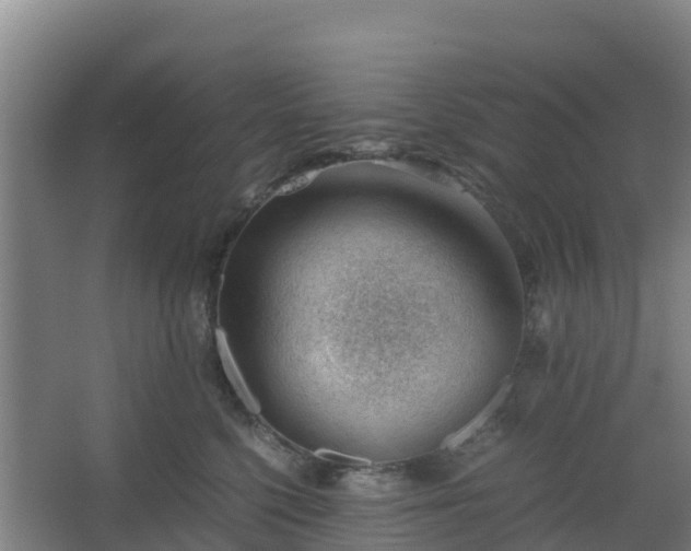 X0000062600568200512281401