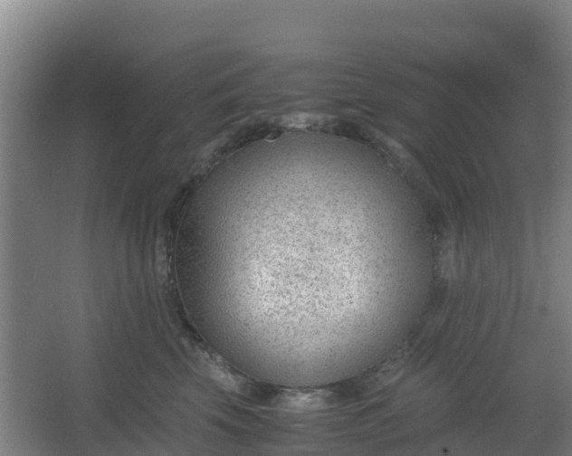 X0000062600569200512281401