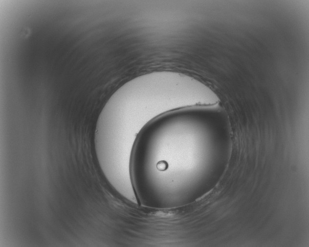 X0000062600570200512281401