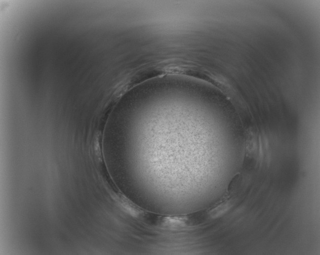 X0000062600573200512281401