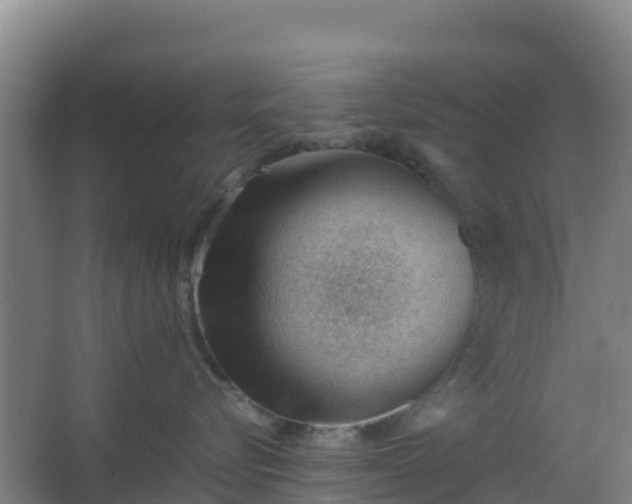 X0000062600576200512281401