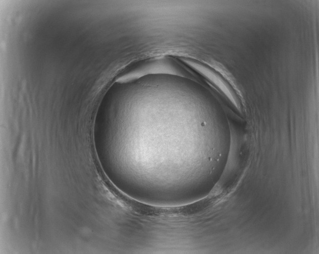 X0000062600577200512281401