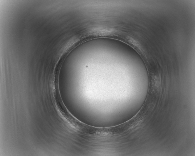 X0000062600582200512281400