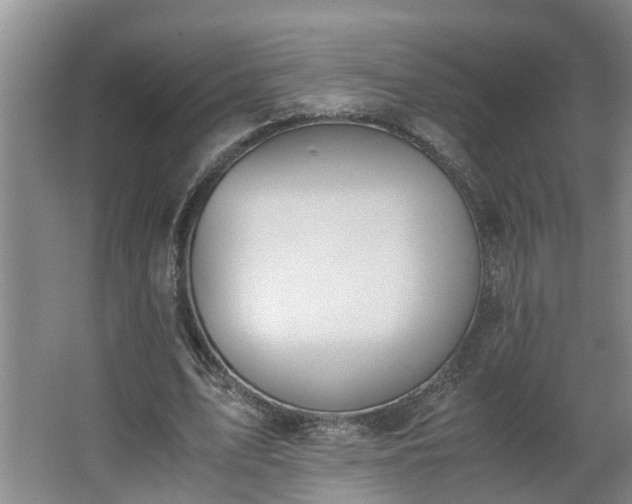 X0000062600583200512281400