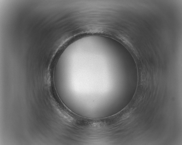 X0000062600584200512281400