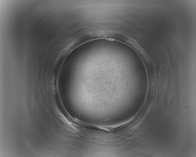 X0000062600585200512281400