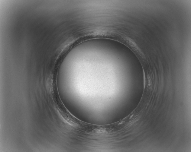 X0000062600588200512281400