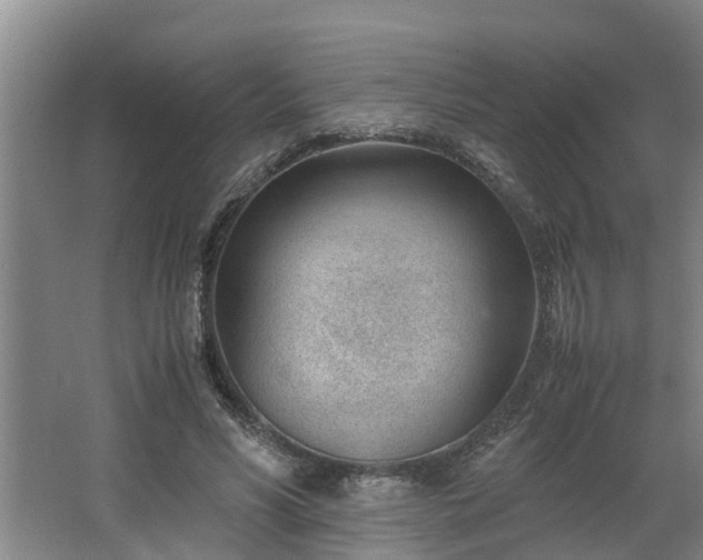 X0000062600590200512281400