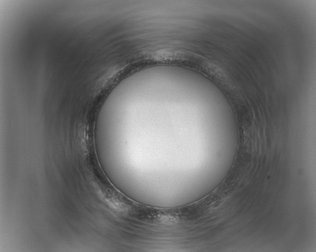 X0000062600592200512281400