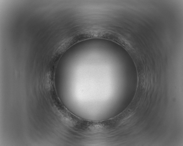 X0000062600594200512281400