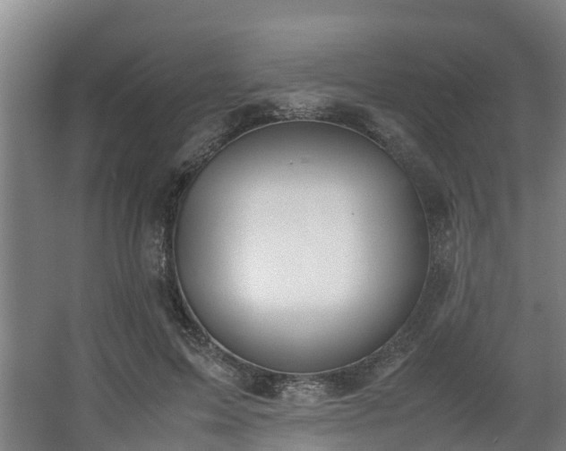 X0000062600599200512281400