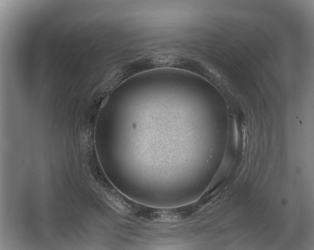 X0000062600601200512281400