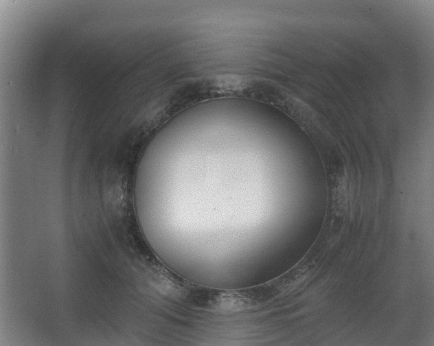 X0000062600608200512281400