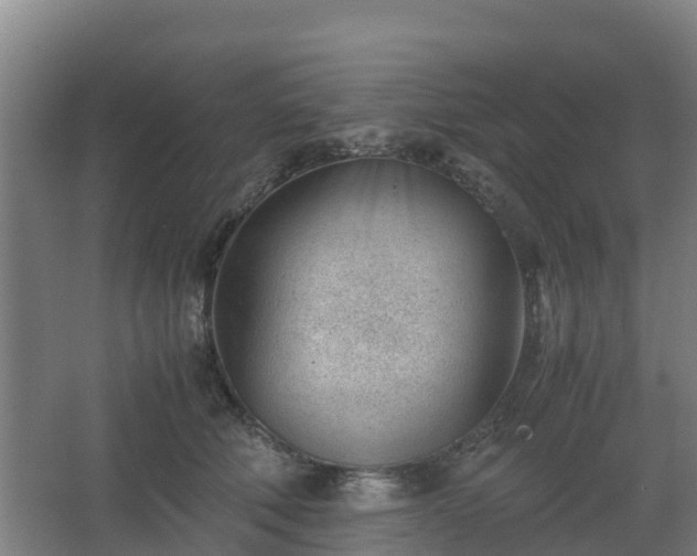 X0000062600610200512281400