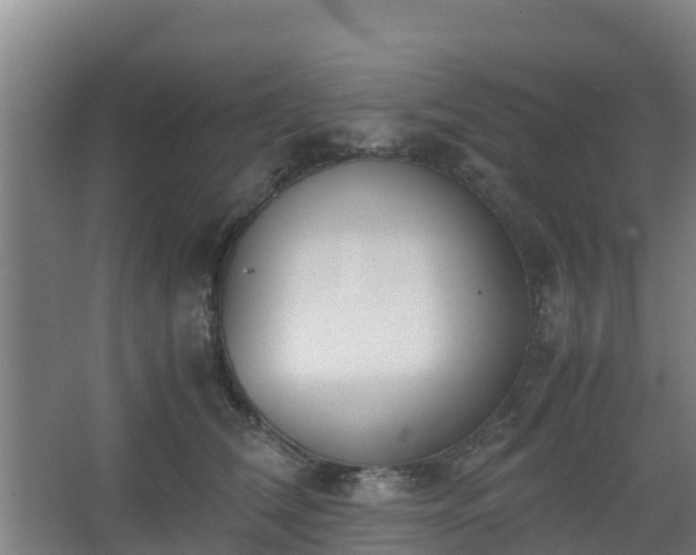 X0000062600612200512281400