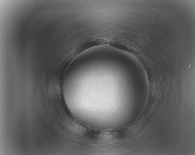 X0000062600613200512281400