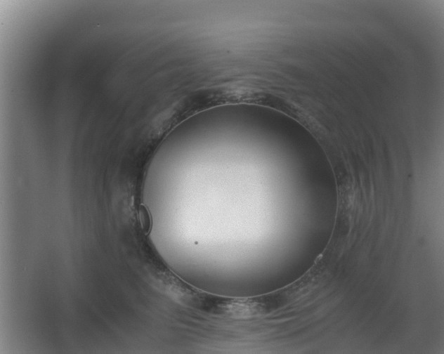 X0000062600615200512281400