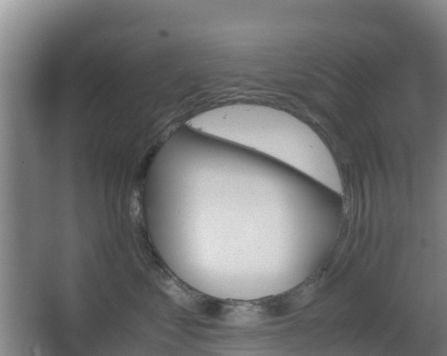 X0000062600621200512281400