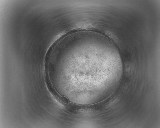 X0000062600630200512281359