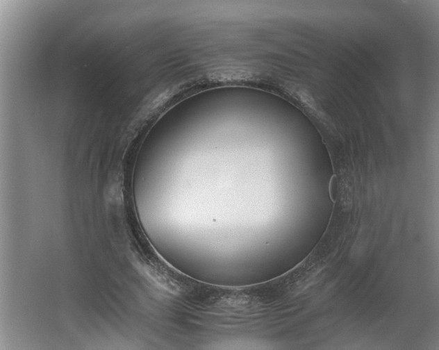 X0000062600631200512281359