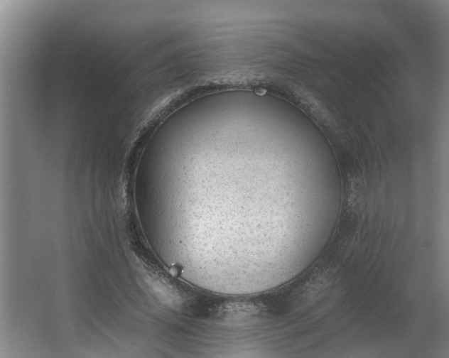 X0000062600636200512281359