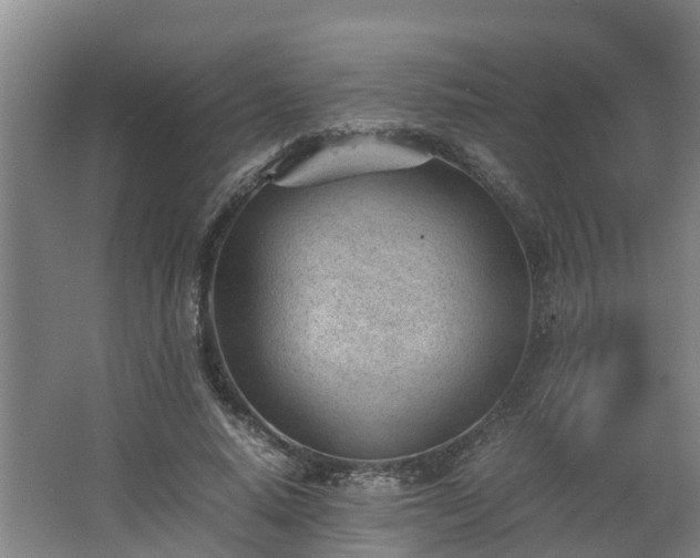 X0000062600640200512281359