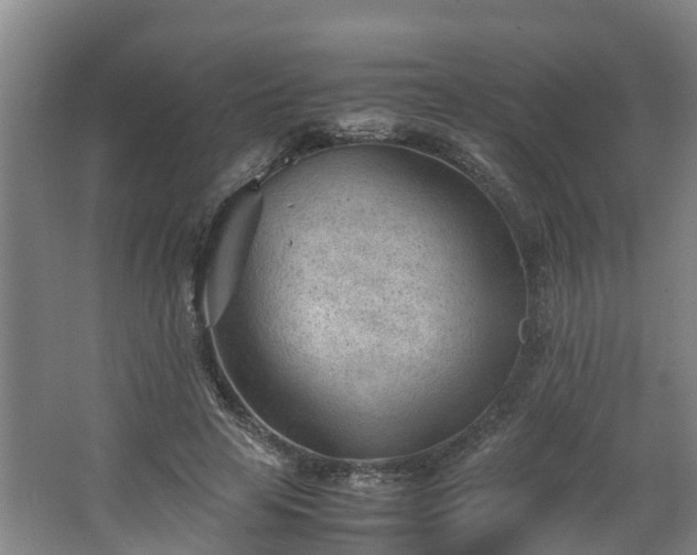 X0000062600641200512281359