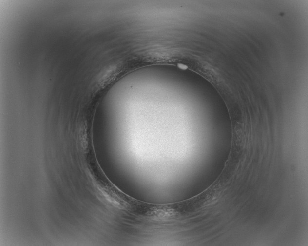 X0000062600642200512281359