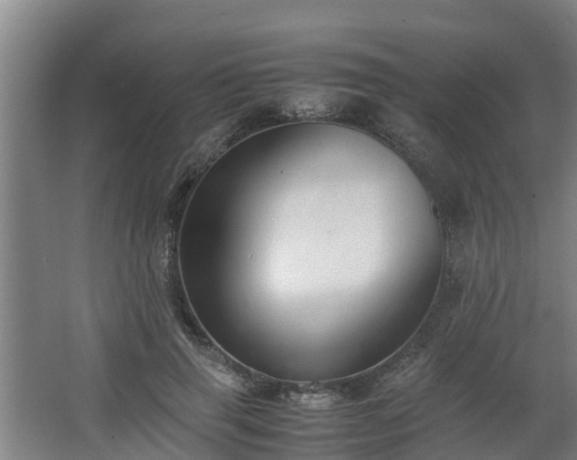 X0000062600645200512281359