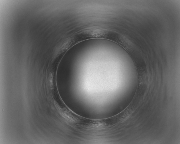 X0000062600646200512281359