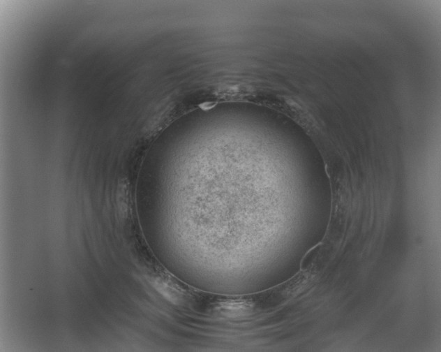 X0000062600659200512281400