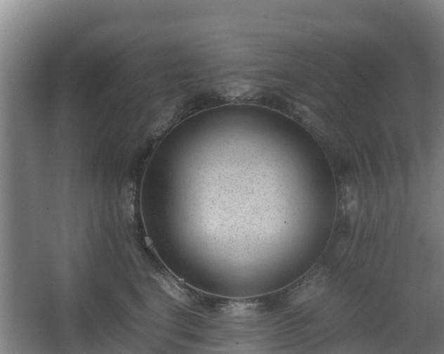 X0000062600664200512281400