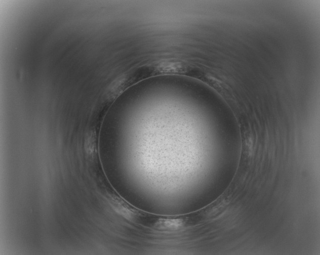 X0000062600665200512281400