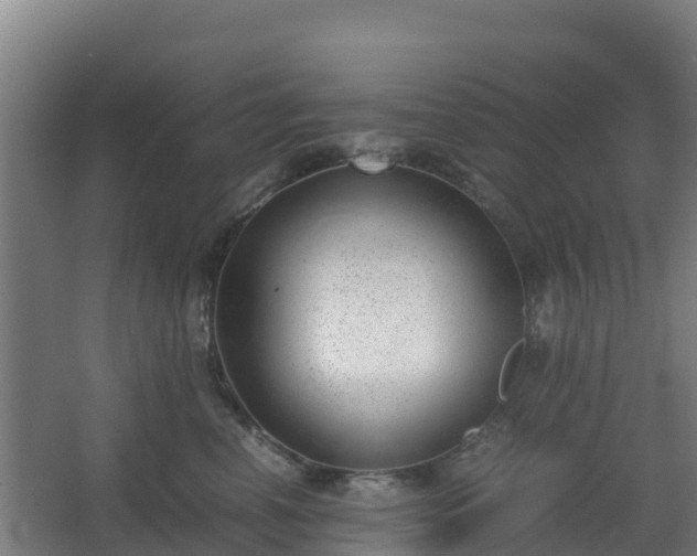 X0000062600666200512281400