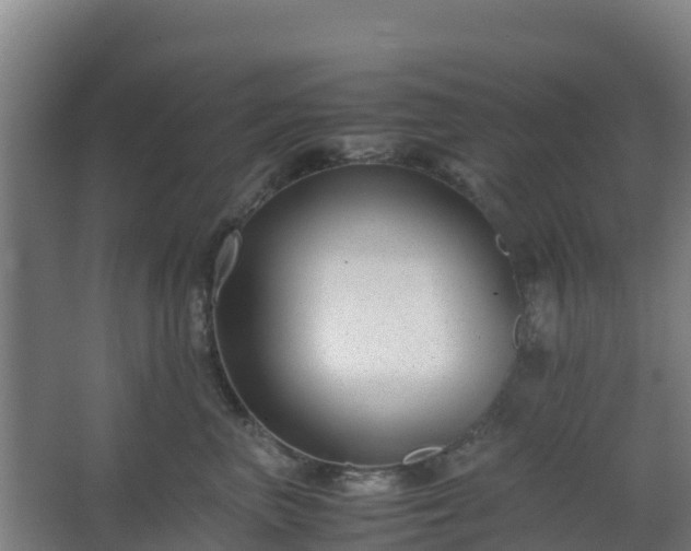 X0000062600667200512281400