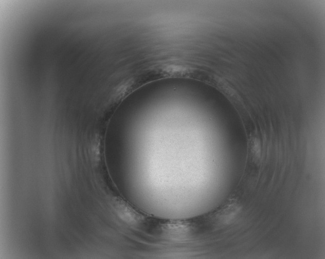 X0000062600668200512281400