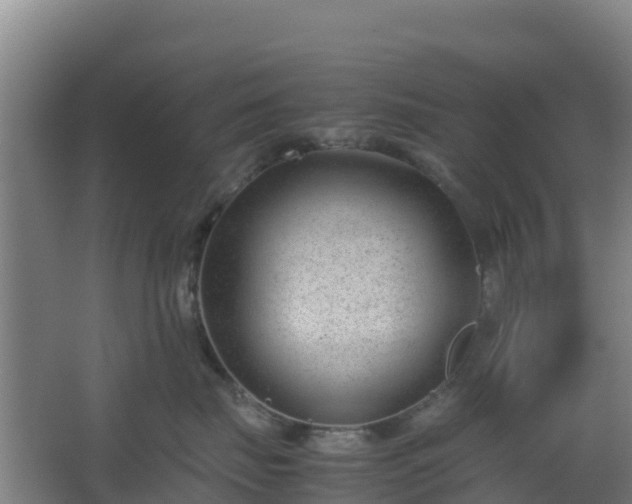 X0000062600671200512281400