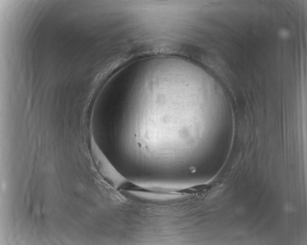 X0000062600673200512281359