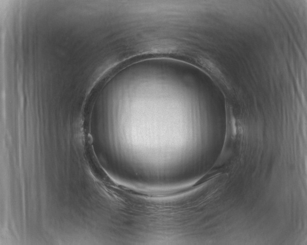 X0000062600676200512281359