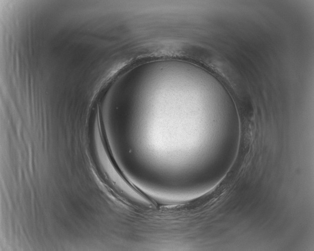 X0000062600677200512281359