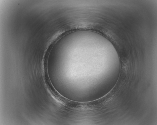 X0000062600678200512281359