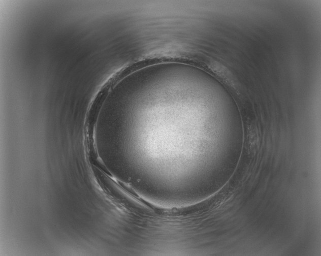 X0000062600680200512281359