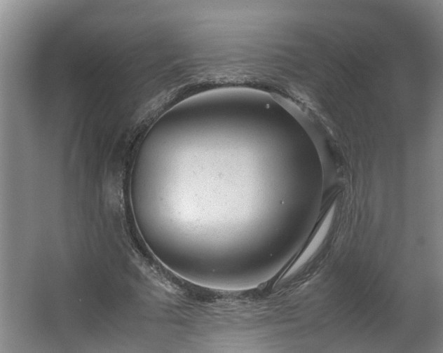 X0000062600681200512281359