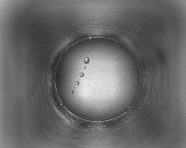 X0000062600683200512281359