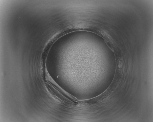 X0000062600684200512281359