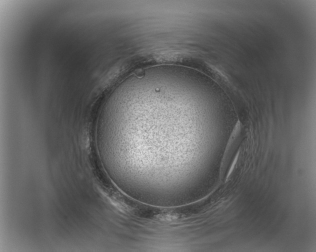 X0000062600687200512281359